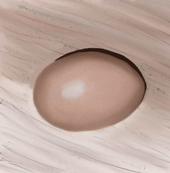 Egg